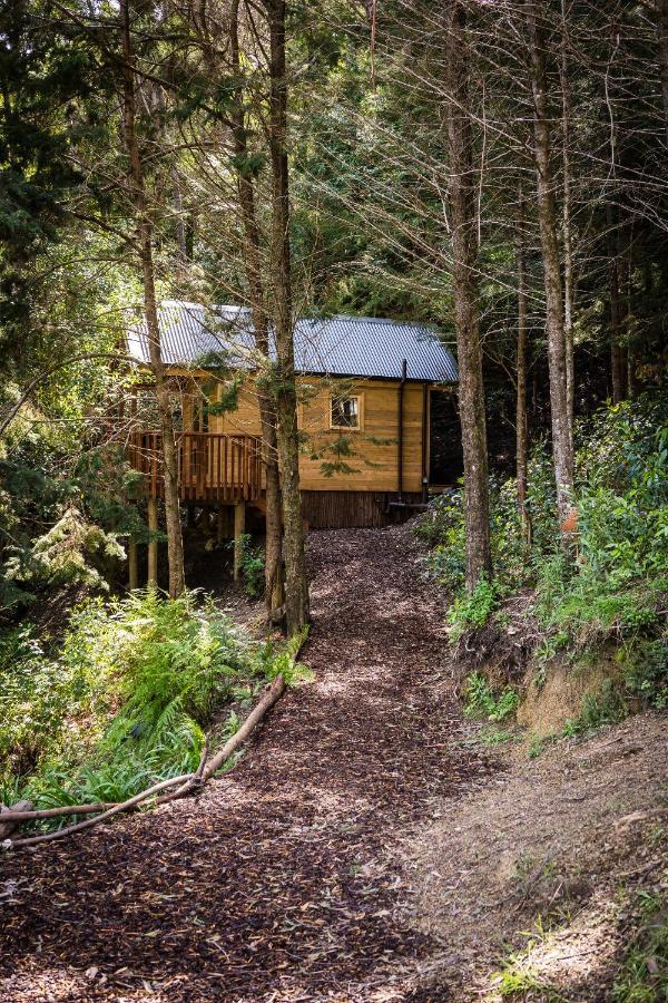 Maitai Whare Iti - Adventure Cabins & House Nelson Exterior photo