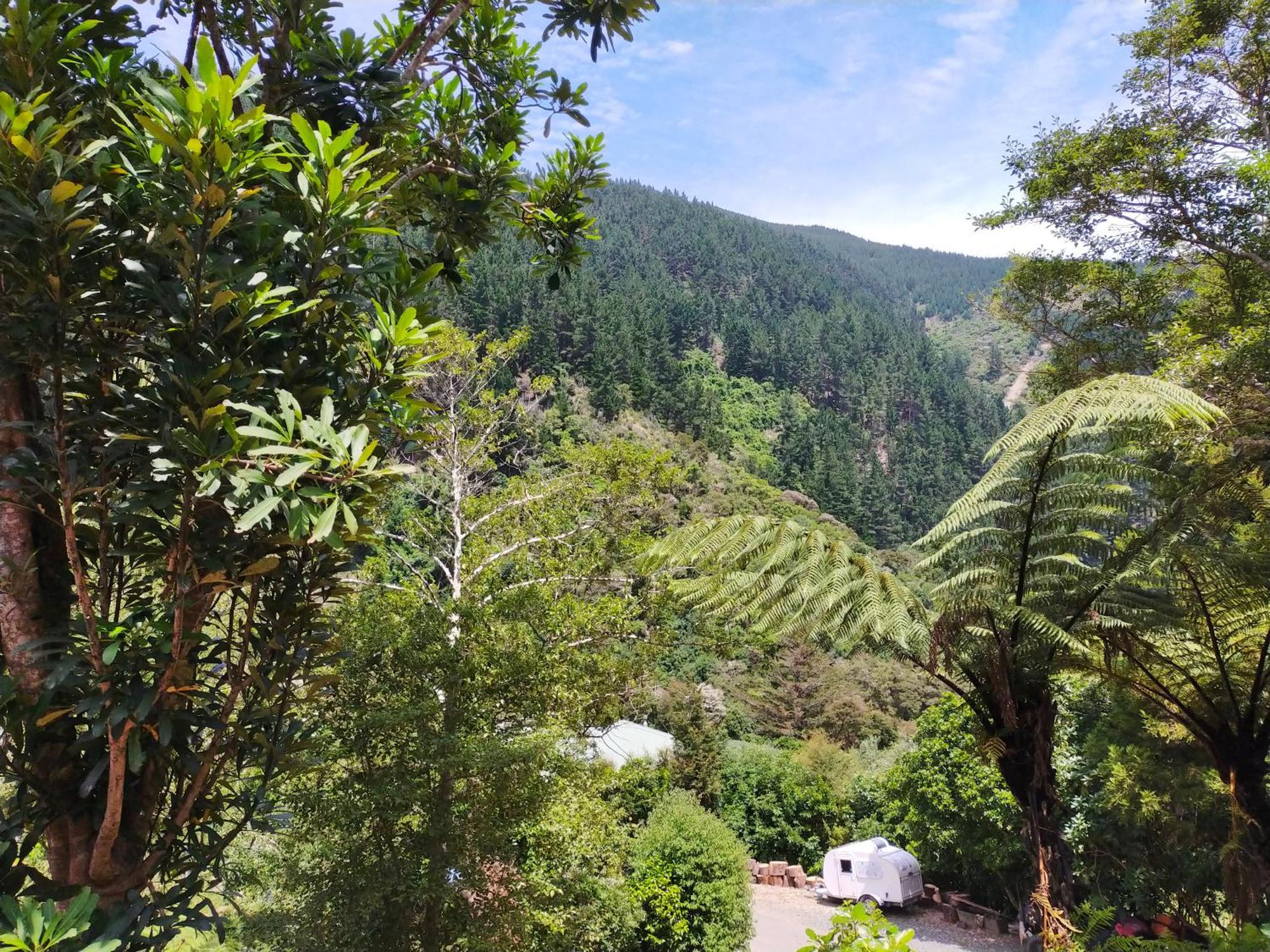 Maitai Whare Iti - Adventure Cabins & House Nelson Exterior photo